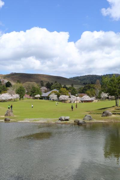 雨のち晴れ　奈良さくら散歩