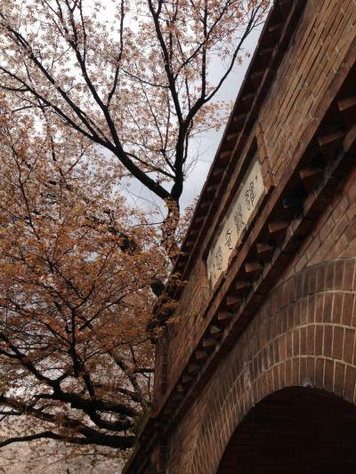 京都一周トレイル 東山コース（蹴上～清水山）＋桜をもとめてぶらぶら歩き