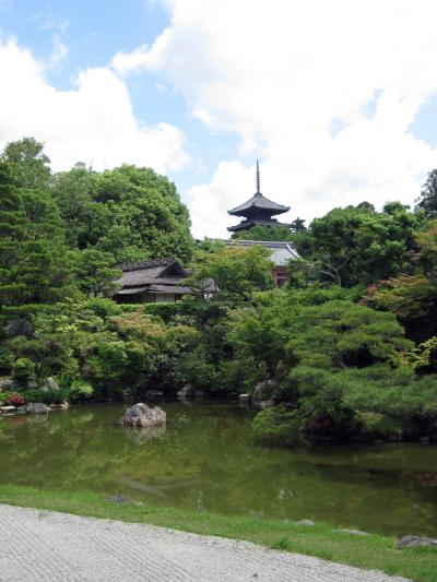 レンタサイクルで廻る初夏の京都の庭園 -2013-