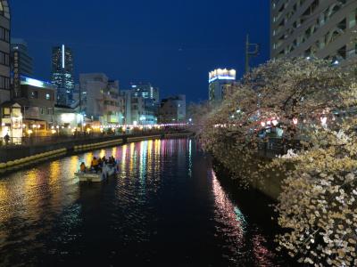 大岡川プロムナードの桜並木散策とみなとみらいの夜景を満喫