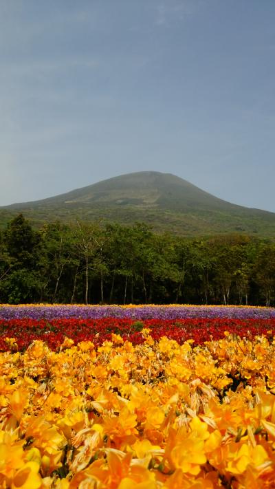 健脚三十路女国内旅☆春の八丈島☆