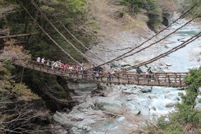 らくらくFDA高知便で行く　ゆったり四国周遊４日間（初日）