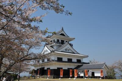 ２０１４年　桜　③館山城