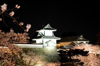 【兼六園＆金沢城　夜桜ライトアップ】