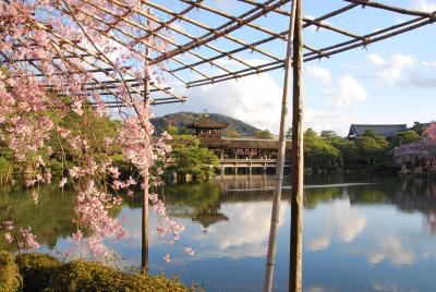 '14 京都の桜めぐり（3）2日目