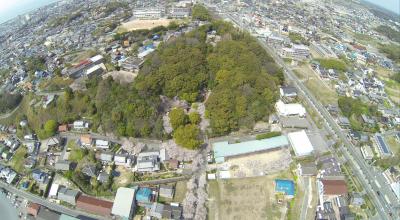 自動車運転免許更新（ほとんど桜の空撮）