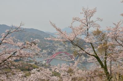 ＳＡＫＵＲＡ−音戸大橋−