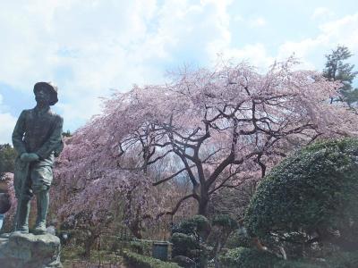 自転車でGO！ 2014.04.09 =2.御殿場へ…(秩父宮記念公園)=