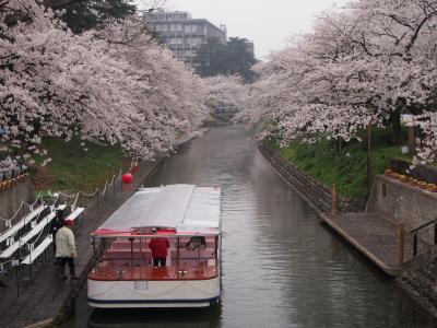 青春１８きっぷで出掛けよう　2014春♪　｢栄えある今年初の花見は富山市に決定(^。^)y-.。o○｣