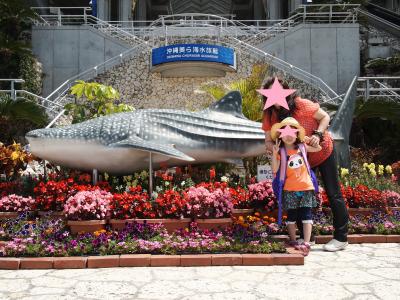 春休み 母娘で行く 美ら海&離島の旅 本島編