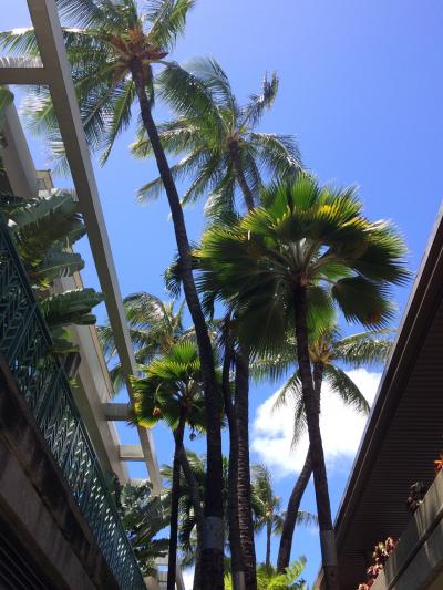 ■ハワイde誕生日 2014 【1日目】 トランプ/カラカウアAve/アラモアナ/兄弟焼肉