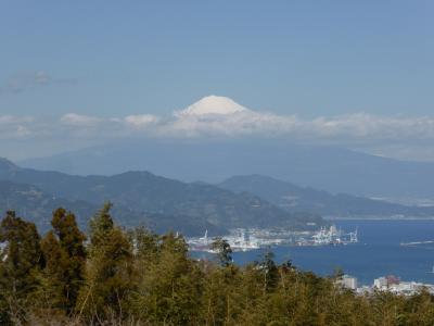 3月の静岡　久能山と日本平