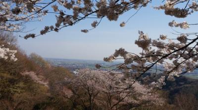 2014桜を探し2 茨城県西からちょこっと栃木県へ 結城 大平山編