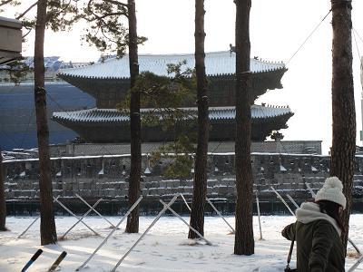 雪をかぶる東大門
