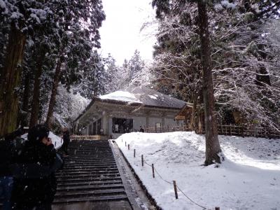 北東北を電車で一人旅～岩手県平泉～