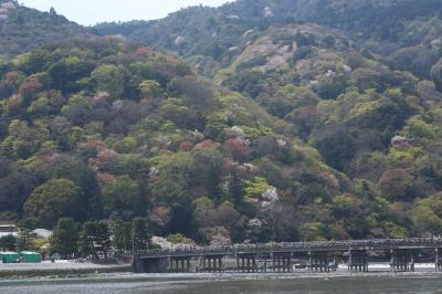 京の桜めぐりーーー嵐山とトロッコ列車