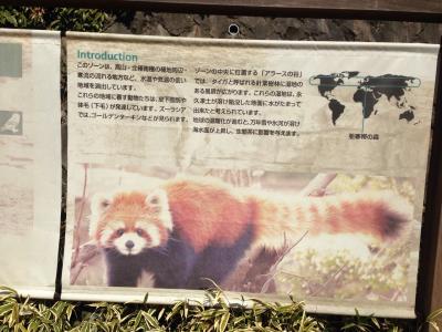レッサーパンダ研究の旅〈9〉よこはま動物園ズーラシア「ず～じゃん。動物園大学4in横浜」