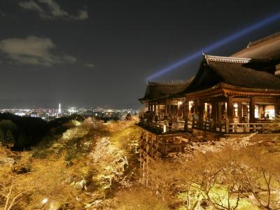 桜の京都めぐり