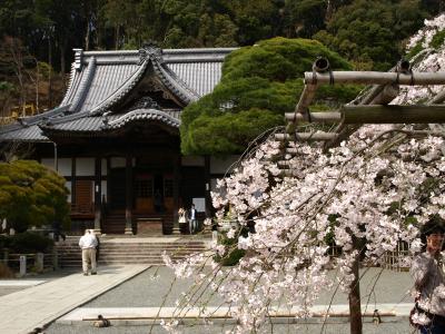 漱石滞在の部屋に泊まる-修善寺の旅