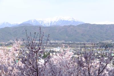 信州桜の上田、高遠、春日の３名城と名湯草津