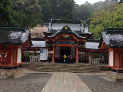 春の鹿児島でリフレッシュできました