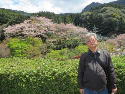 鍋島藩の御用窯　大川内山