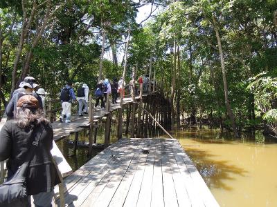 ブラジル大自然ツアー①アマゾン編