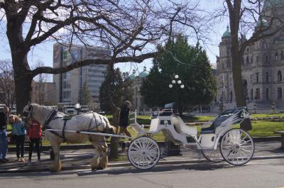 春のカナダ旅行　ビクトリア～バンクーバー～ウイスラー３日目