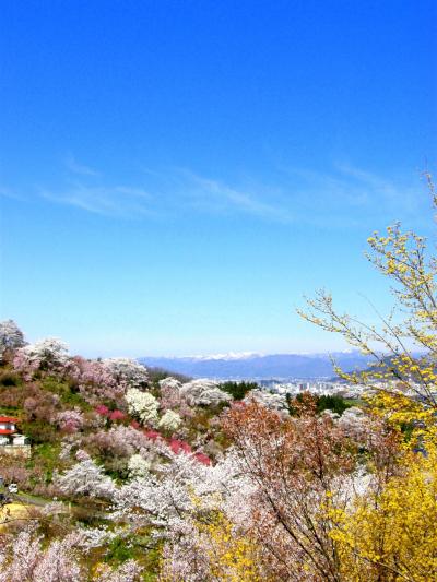 ◆福島の桃源郷・花見山・２０１４・Ｐａｒｔ?