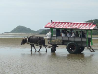 春休み 母娘で行く 美ら海&離島の旅 石垣~西表~小浜~竹富&買物編
