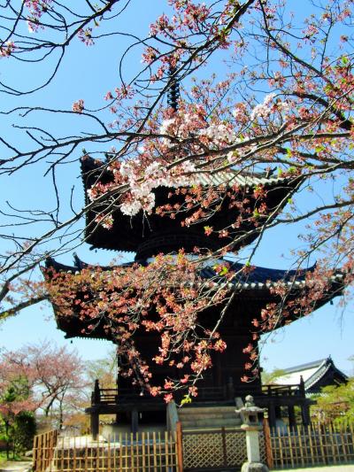 春の奈良（？大阪）　Ⅰ　生駒山～叡福寺