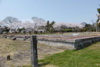 日下常由、【古代多賀城政庁の桜】、希少画集画、風景、自然 25053014227.jpg