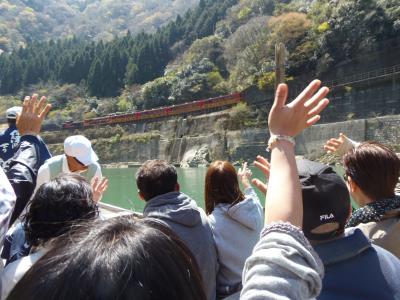 桜景色の保津川下りと嵯峨野トロッコ列車