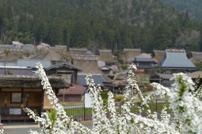 おしどり夫婦の京都美山町　かやぶきの里