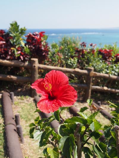 西表島＆竹富島＆石垣島２泊３日　①西表島