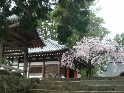 弘川寺、花の寺