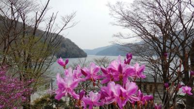 高速バスで行く、花咲く箱根芦ノ湖、大涌谷。