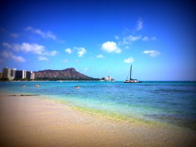 ■ハワイde誕生日 2014 【2日目】 トランプ/bills/ワイキキビーチ/ワード/アラモアナ/高橋果実店