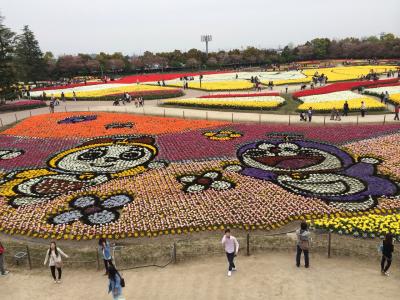 なばなの里、2014チューリップ祭り♪