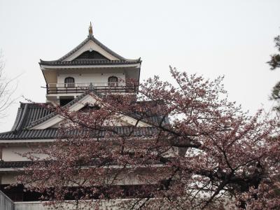 お城と桜　１　上山城