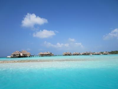 『Maldives』Jan 2014