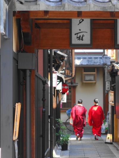 ◇京都 花街巡り～桜と艶を競う、芸舞妓の春～【4】完結 2日目後半・祇園甲部 都をどり編◇