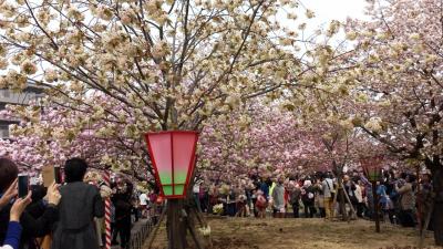 大阪難波付近ブラブラ周遊~京都嵐山