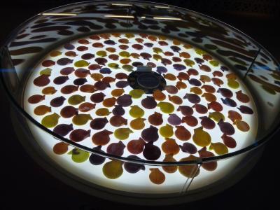 碧天の空とトリトンBlueのOKINAWA Stay.。o○