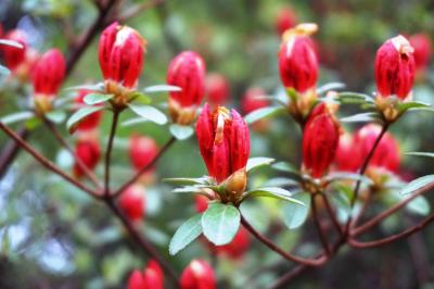 2014年4月 釜山&大邱の旅 大邱編