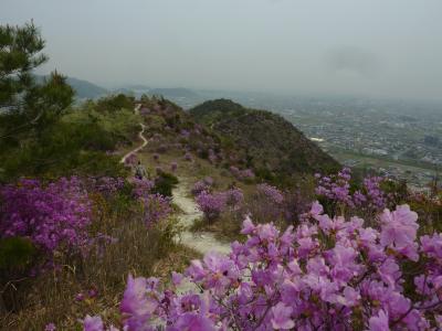 関西二日目は　天空の花回廊　播磨アルプス全山縦走　高御位山に登る♪