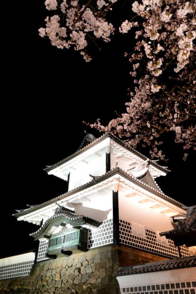 【金沢城お花見のデジブック完成しました】