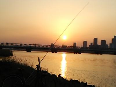 淀川での釣り「一週間」です