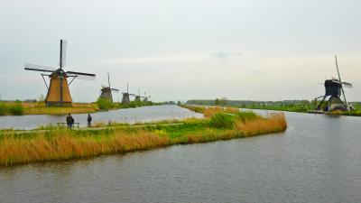 チューリップ畑を見たくって！ オランダへ（２/２）： 風車群も見に行こう！　そしてベルギーの小さな村 デュルビュイ散策も