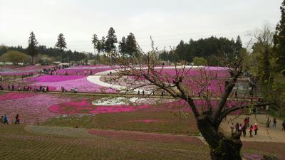 苺・芝桜・秩父神社かけあし秩父路